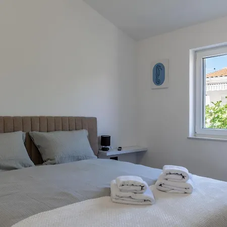 Sandra